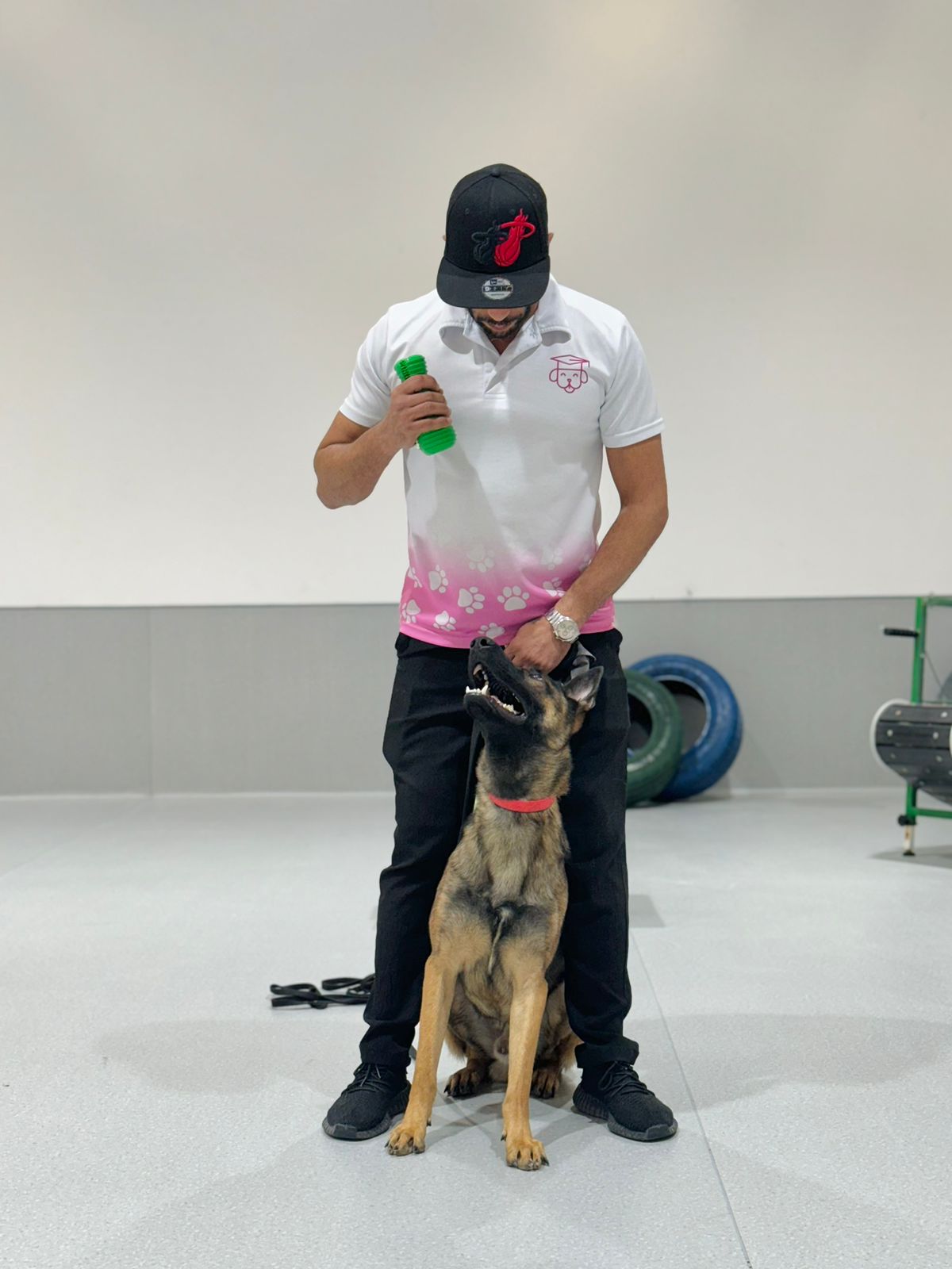 Dog participating in advanced obedience and agility training session with a trainer.