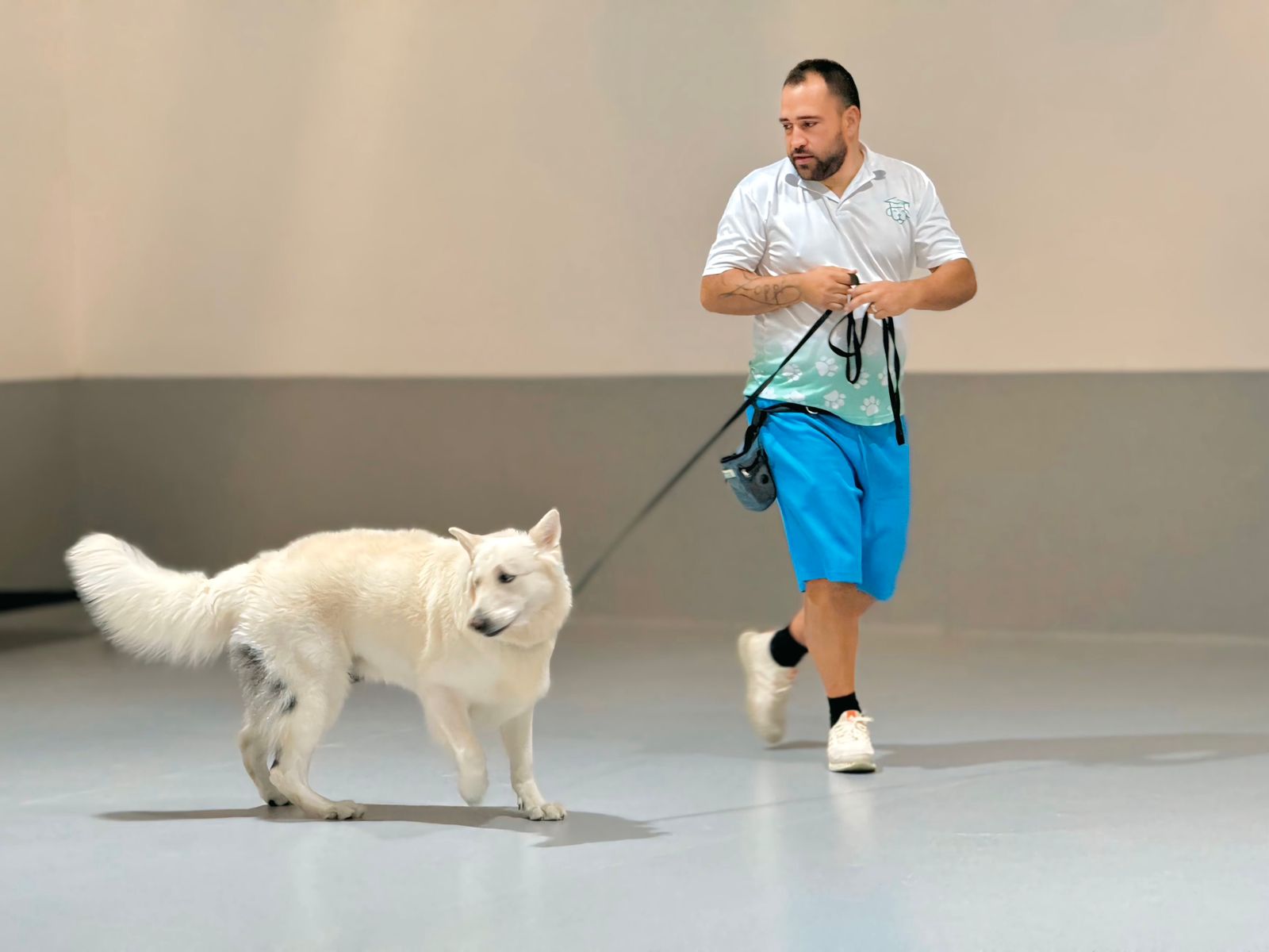 Dog participating in behavior modification program at Pawsychology's training center.