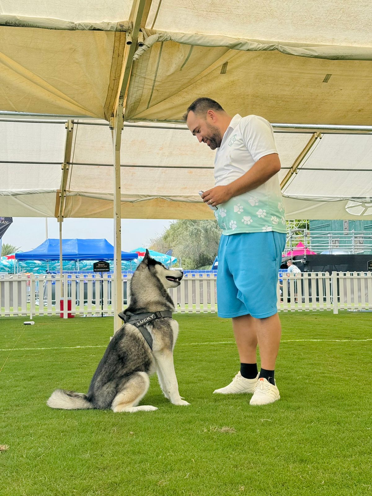 Trainer guiding a puppy