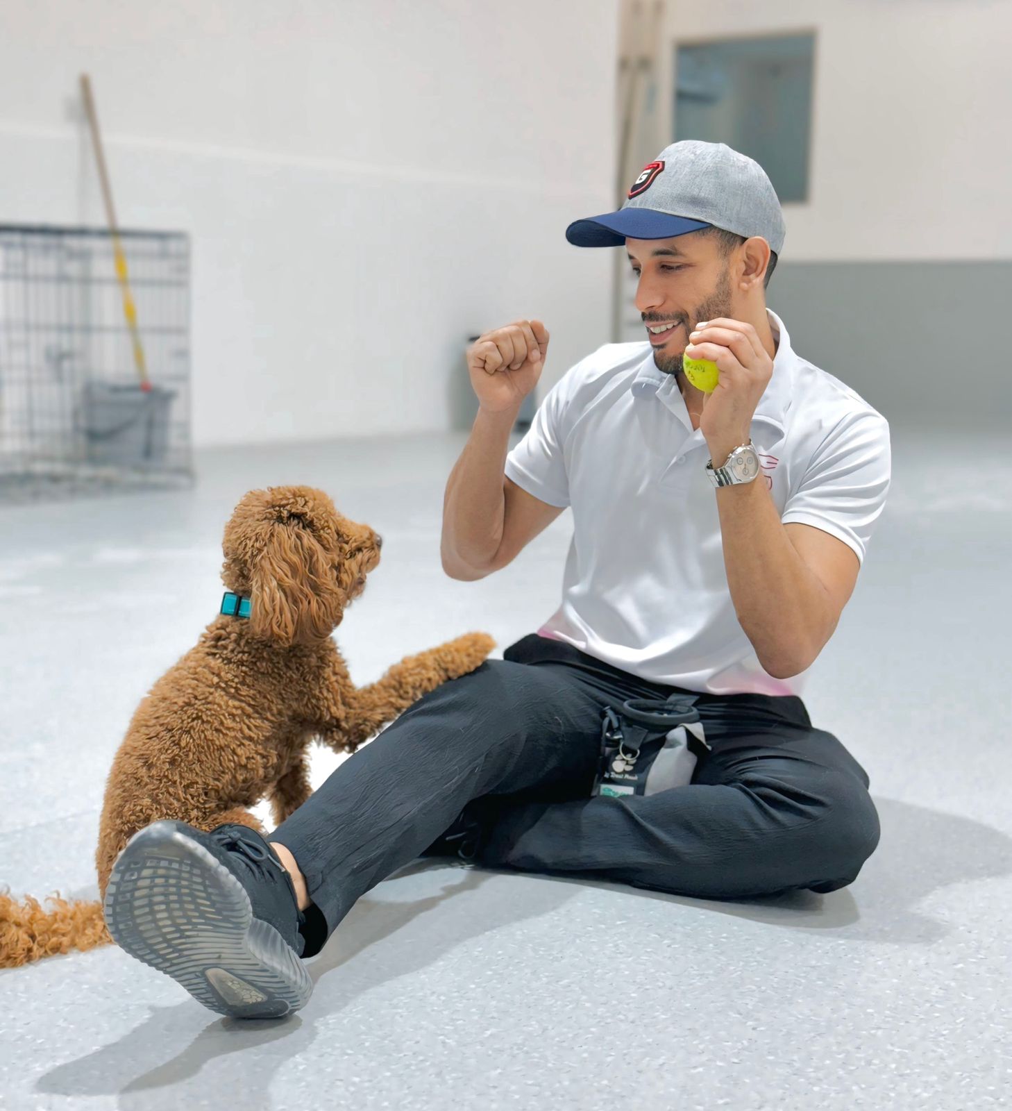 Puppy starting training early