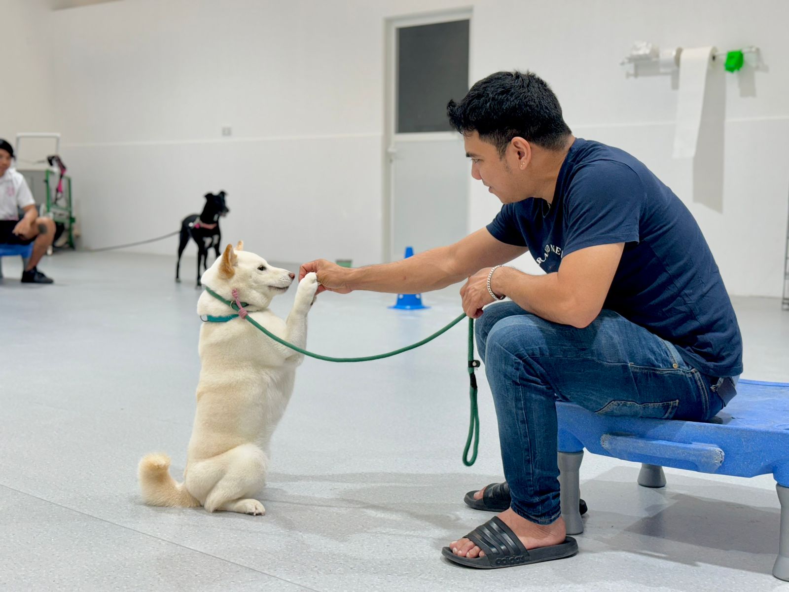 Positive reinforcement in puppy training